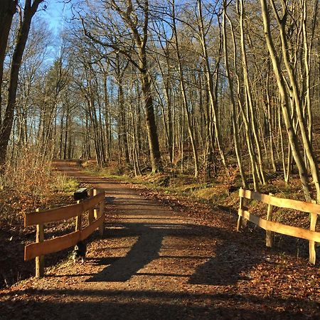 슐레스비히 Waldmuehle 아파트 외부 사진