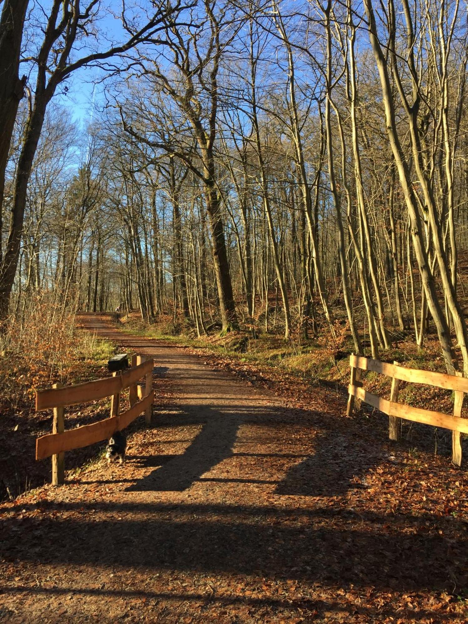 슐레스비히 Waldmuehle 아파트 외부 사진